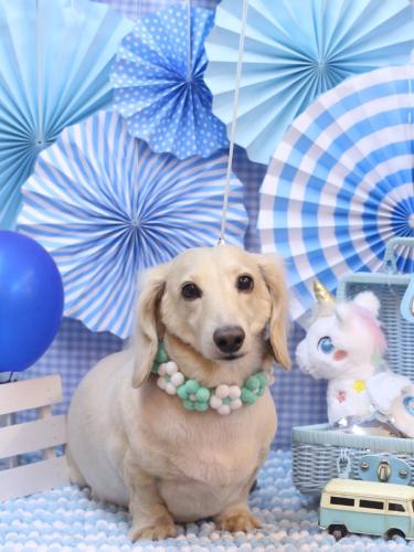 20231109シオンくん